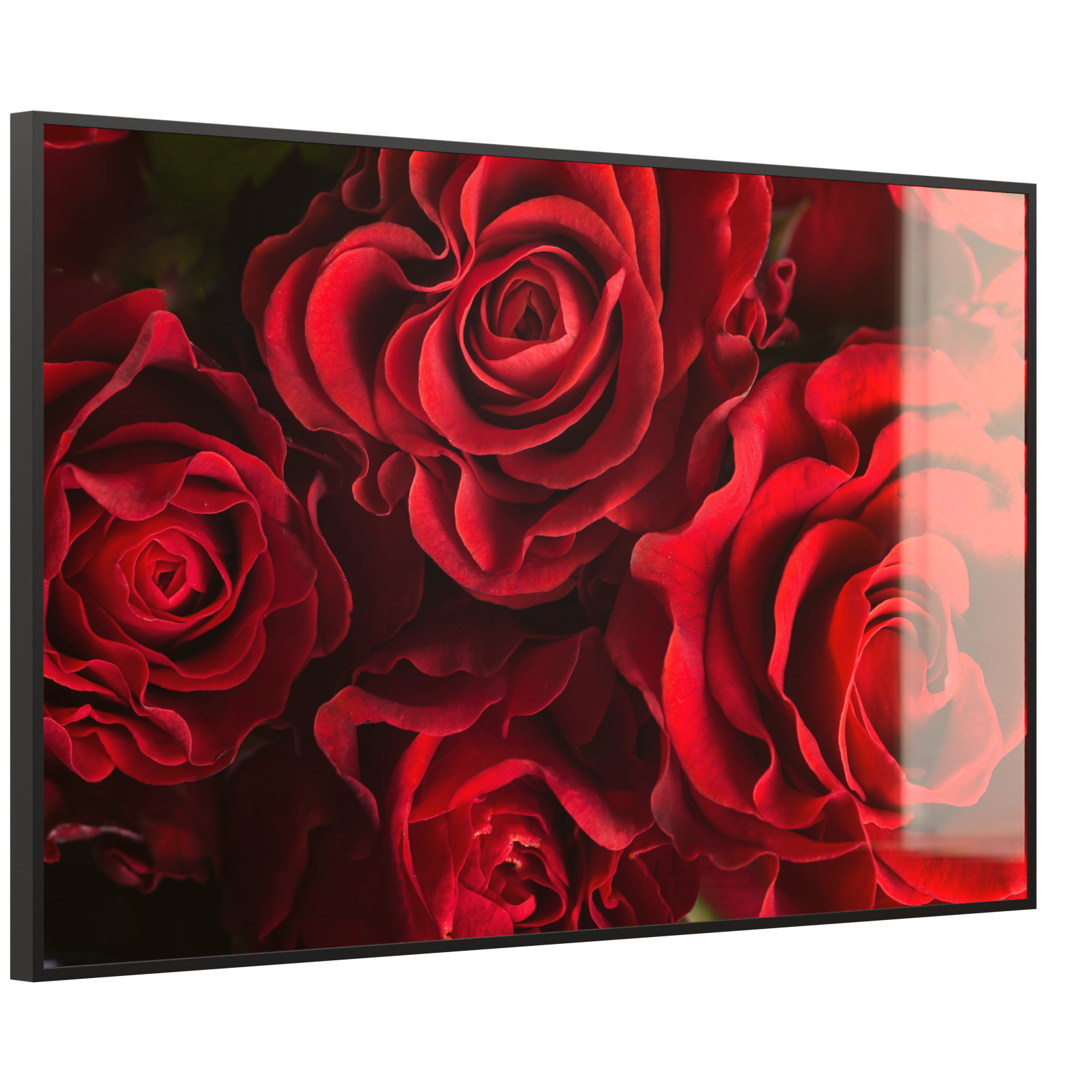 Deko Glas Wandbild Motiv 056 Rote Rosen