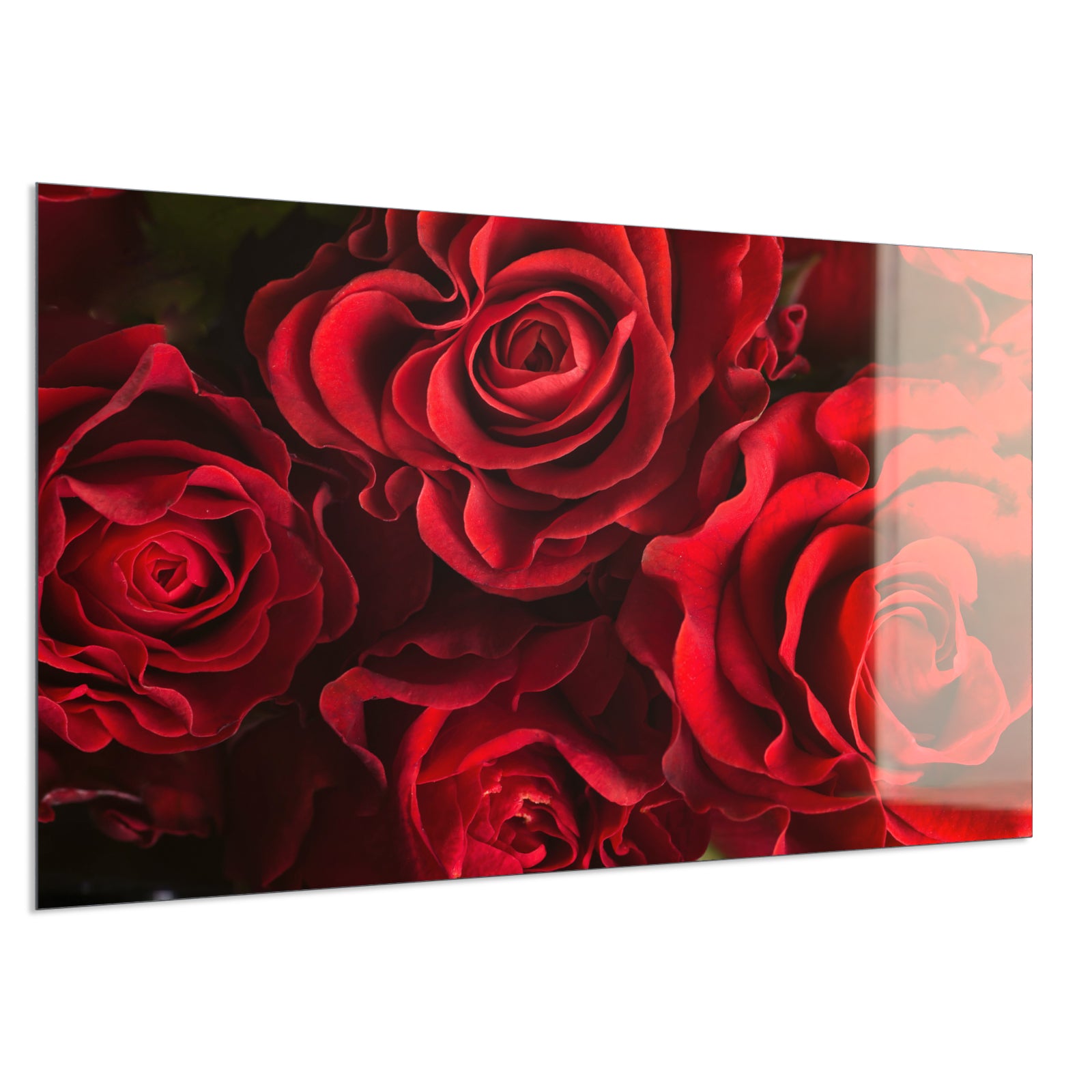 Deko Glas Wandbild Motiv 056 Rote Rosen