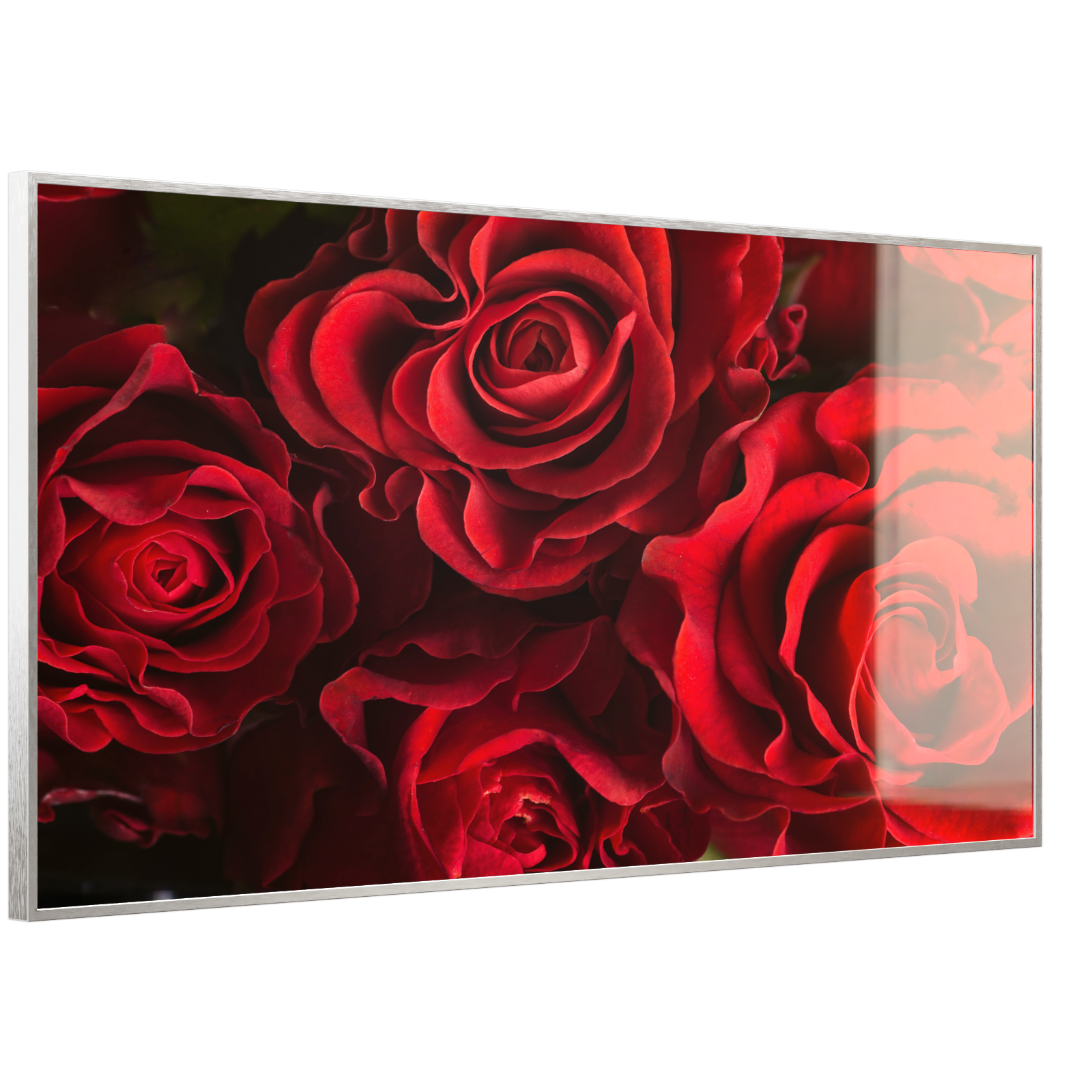 Deko Glas Wandbild Motiv 056 Rote Rosen