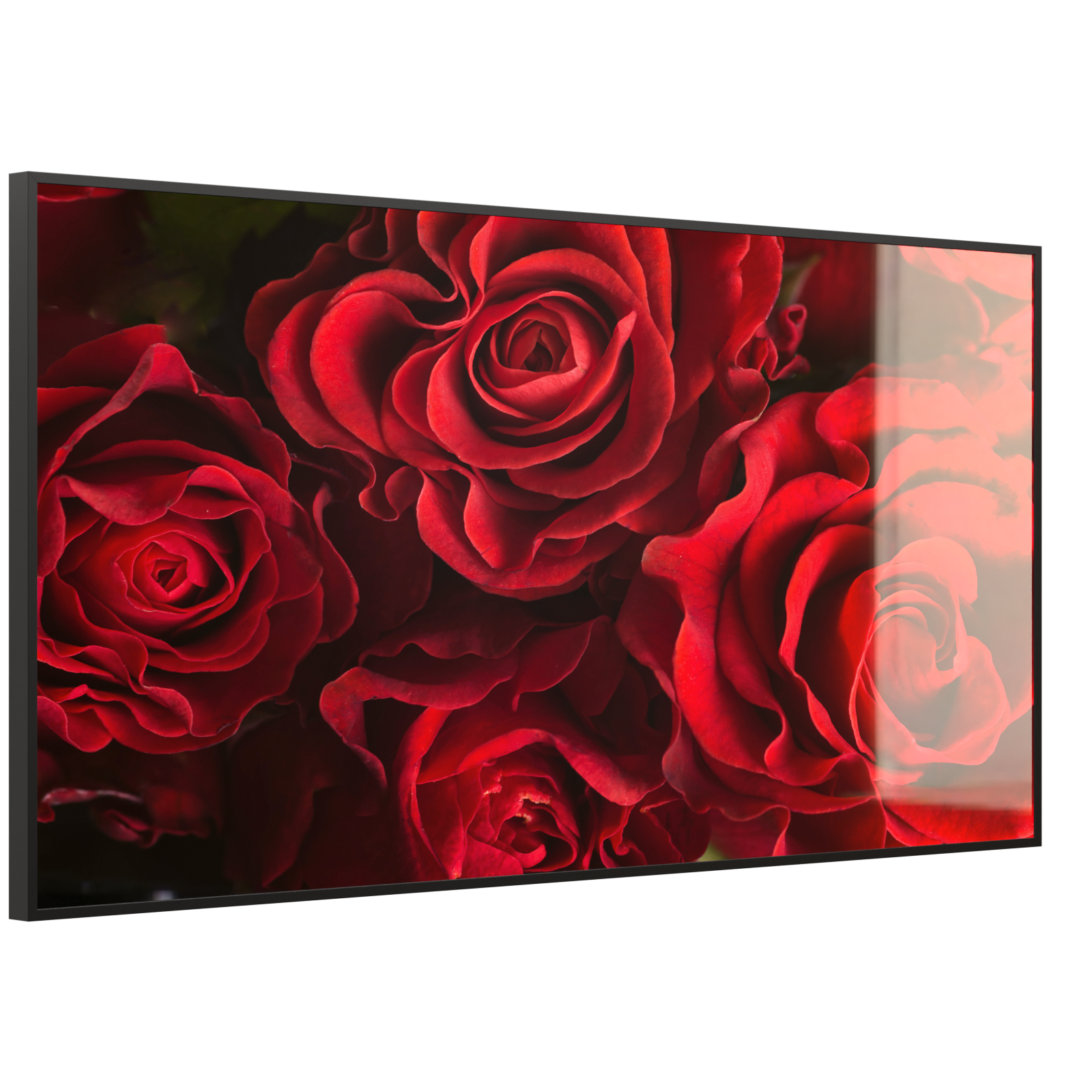 Deko Glas Wandbild Motiv 056 Rote Rosen