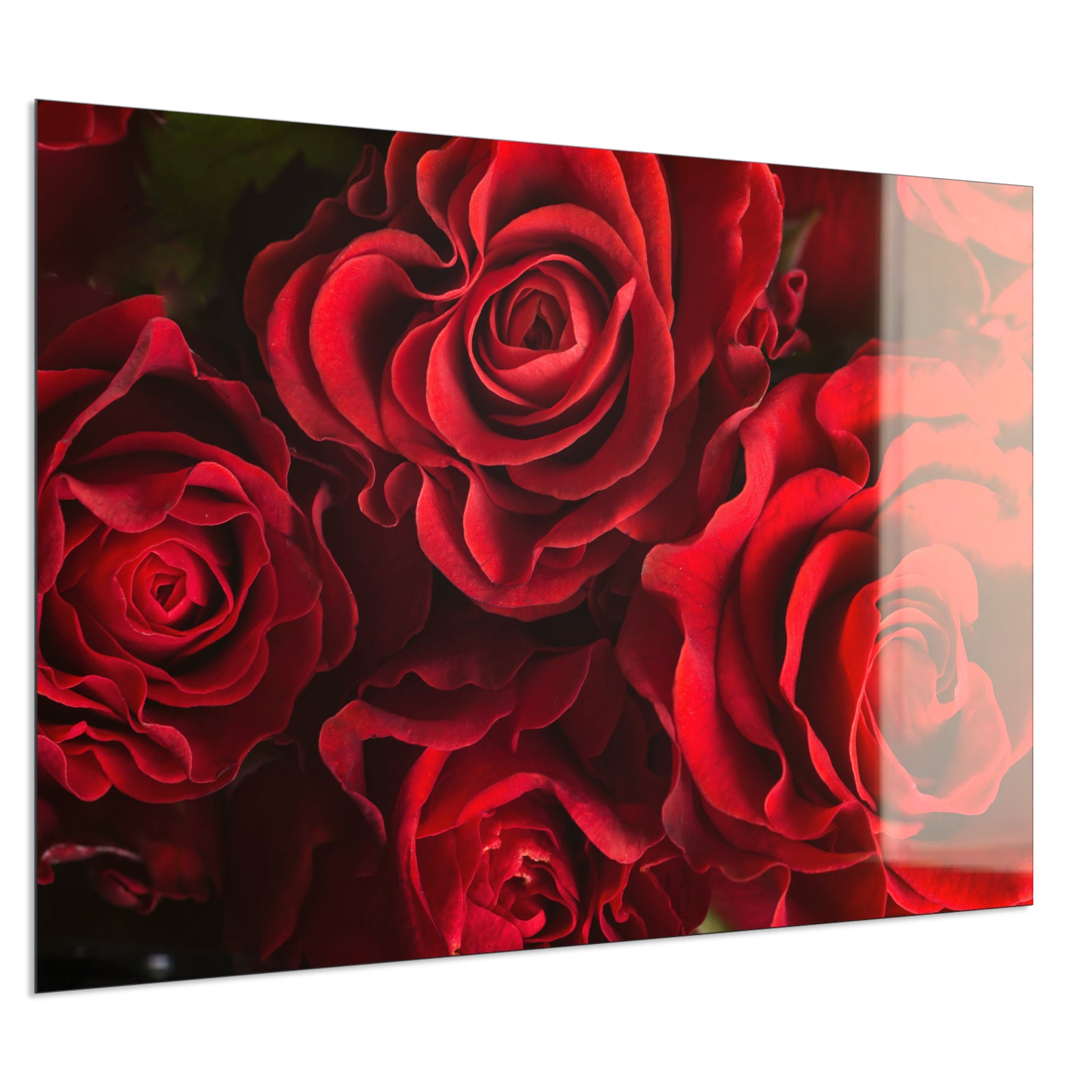 Deko Glas Wandbild Motiv 056 Rote Rosen