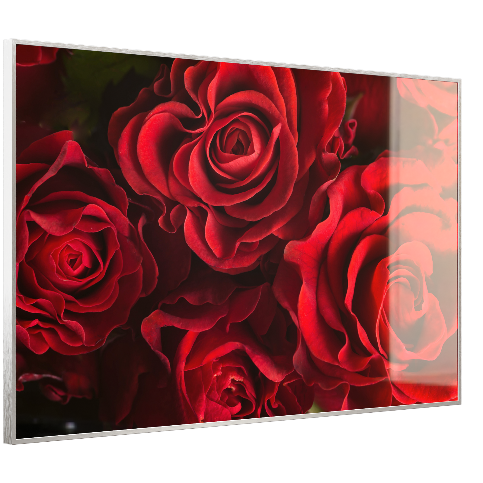 Deko Glas Wandbild Motiv 056 Rote Rosen