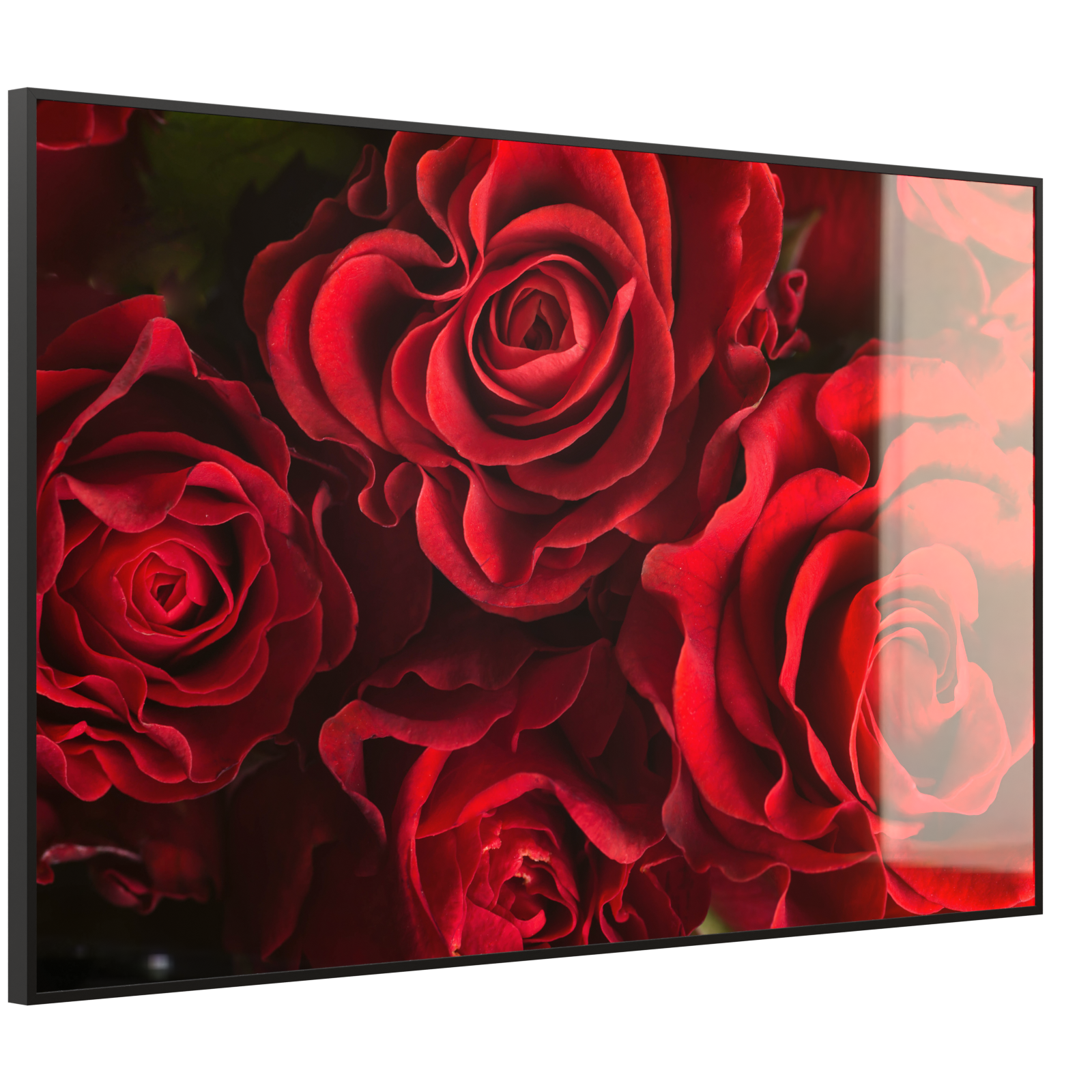 Deko Glas Wandbild Motiv 056 Rote Rosen