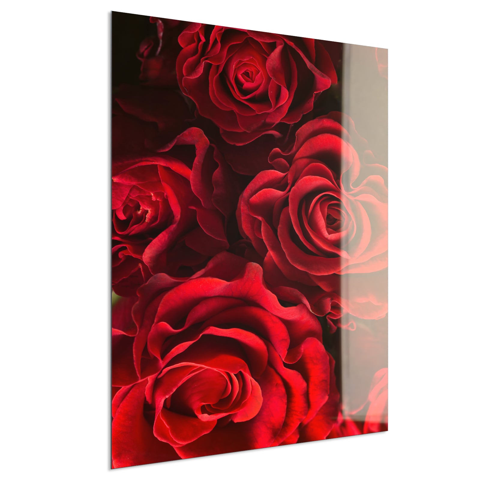 Deko Glas Wandbild Motiv 056H Rote Rosen