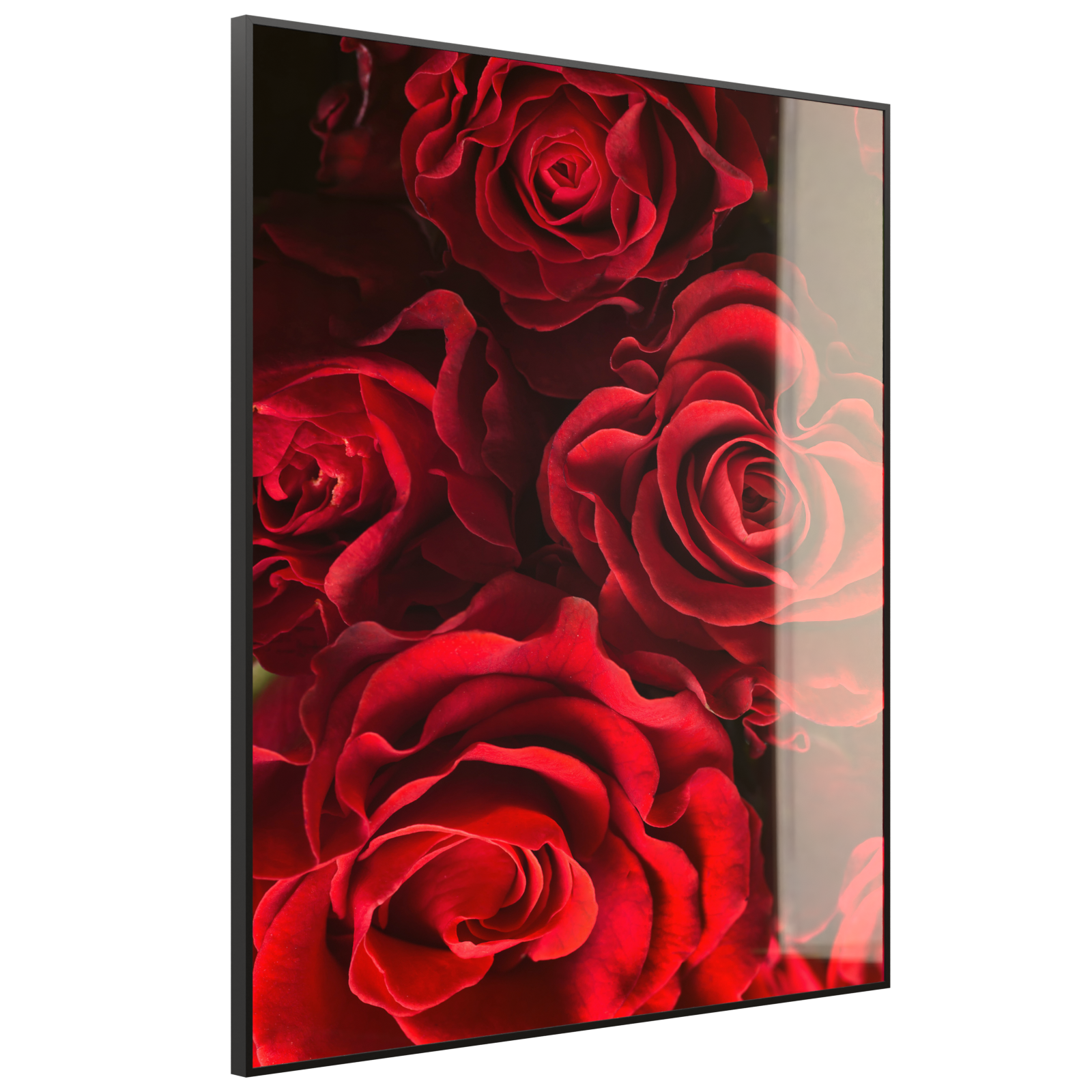 Deko Glas Wandbild Motiv 056H Rote Rosen