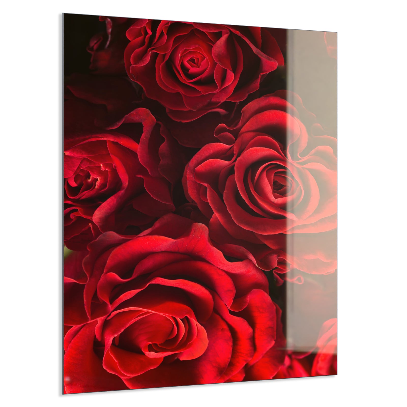 Deko Glas Wandbild Motiv 056H Rote Rosen