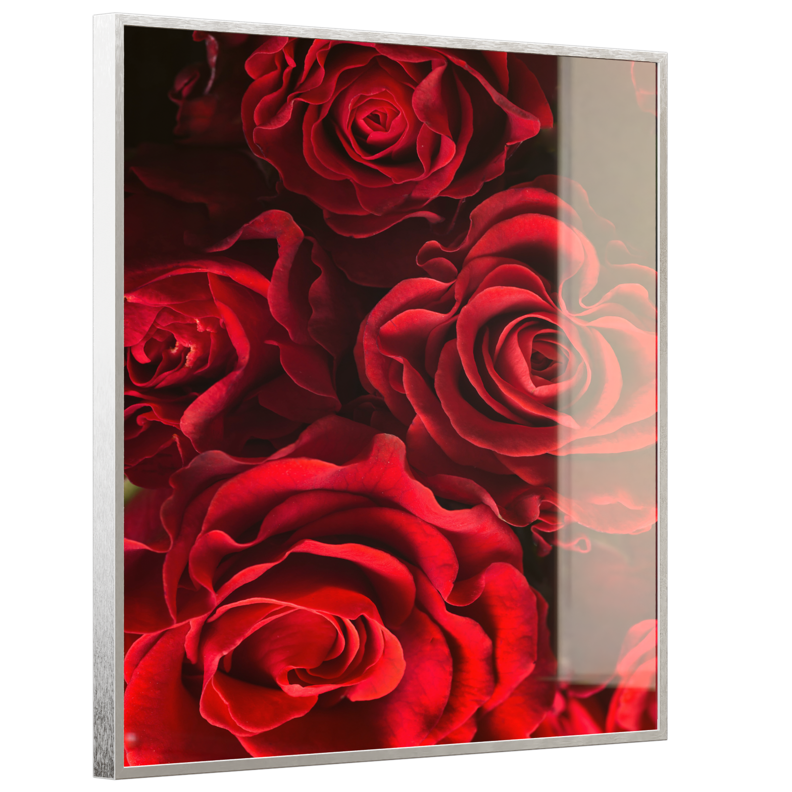 Deko Glas Wandbild Motiv 056H Rote Rosen