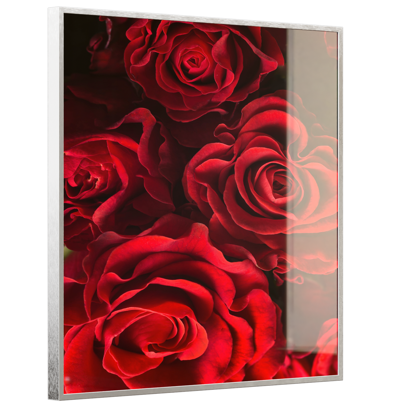 STEINFELD Deko Glas Wandbild Motiv 056H Rote Rosen