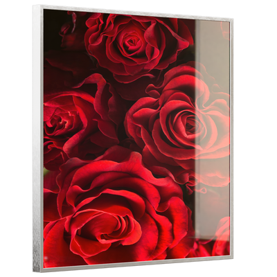 STEINFELD Deko Glas Wandbild Motiv 056H Rote Rosen