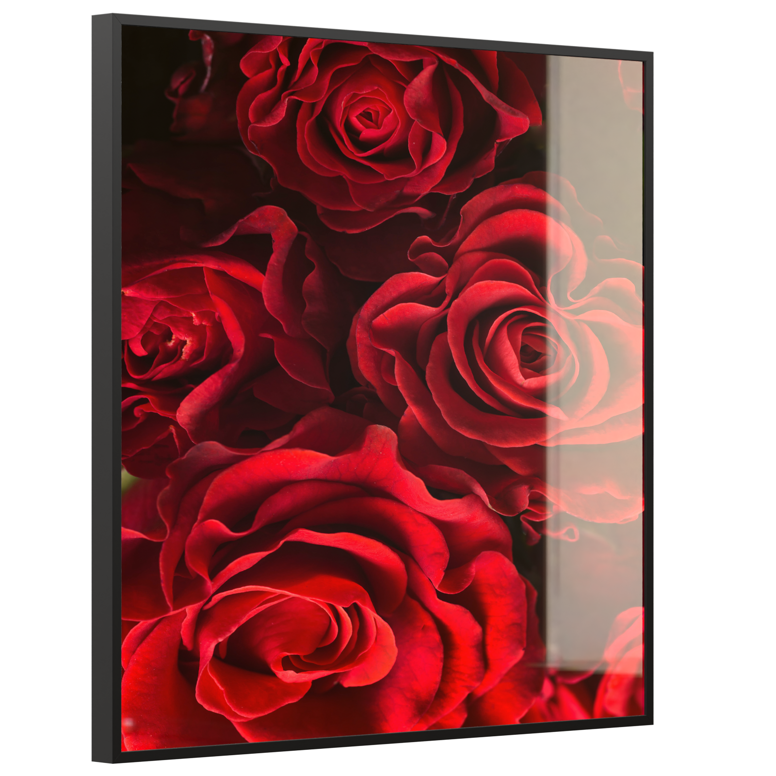 Deko Glas Wandbild Motiv 056H Rote Rosen