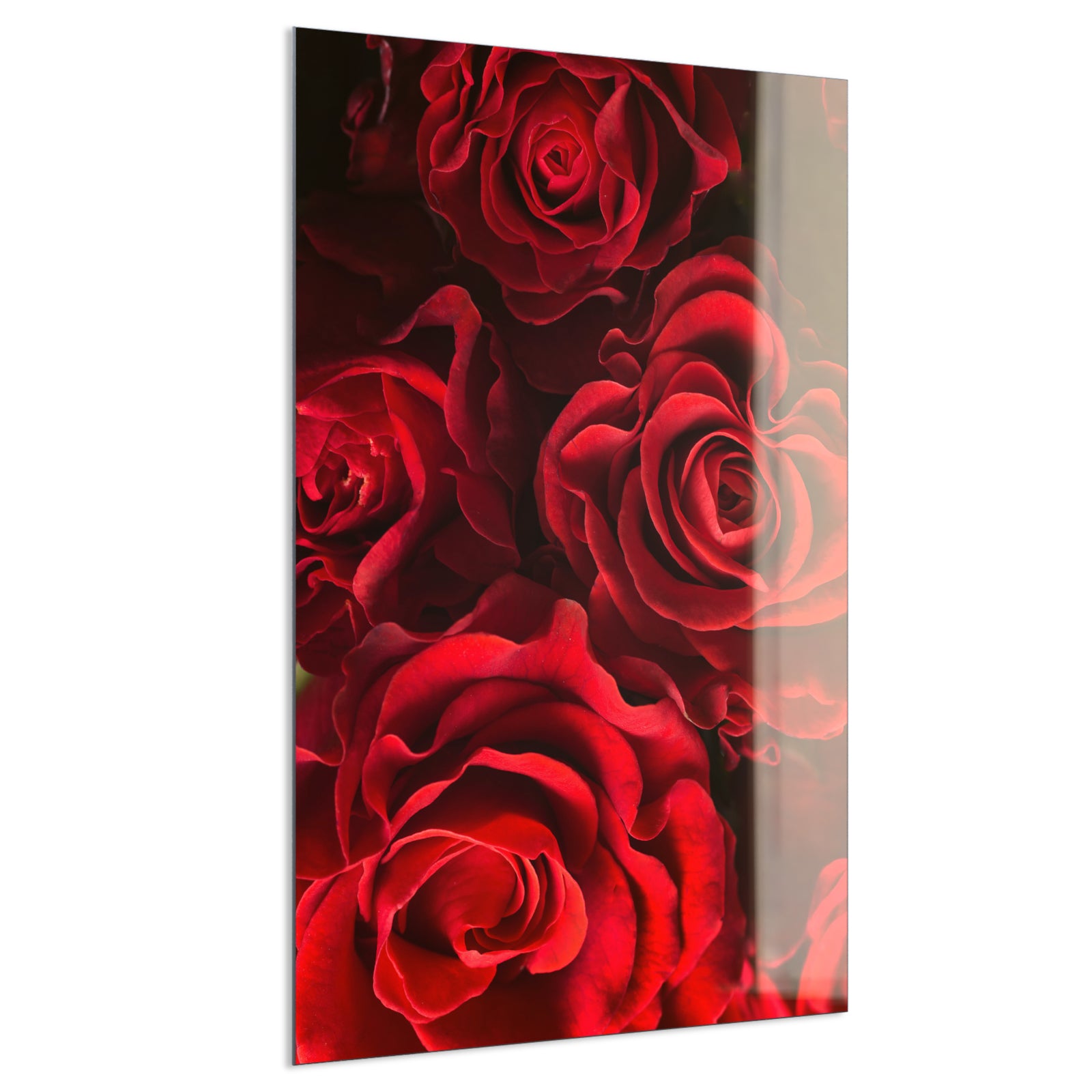 Deko Glas Wandbild Motiv 056H Rote Rosen