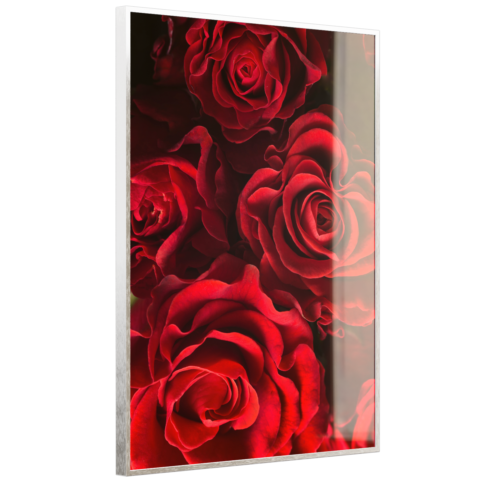 Deko Glas Wandbild Motiv 056H Rote Rosen