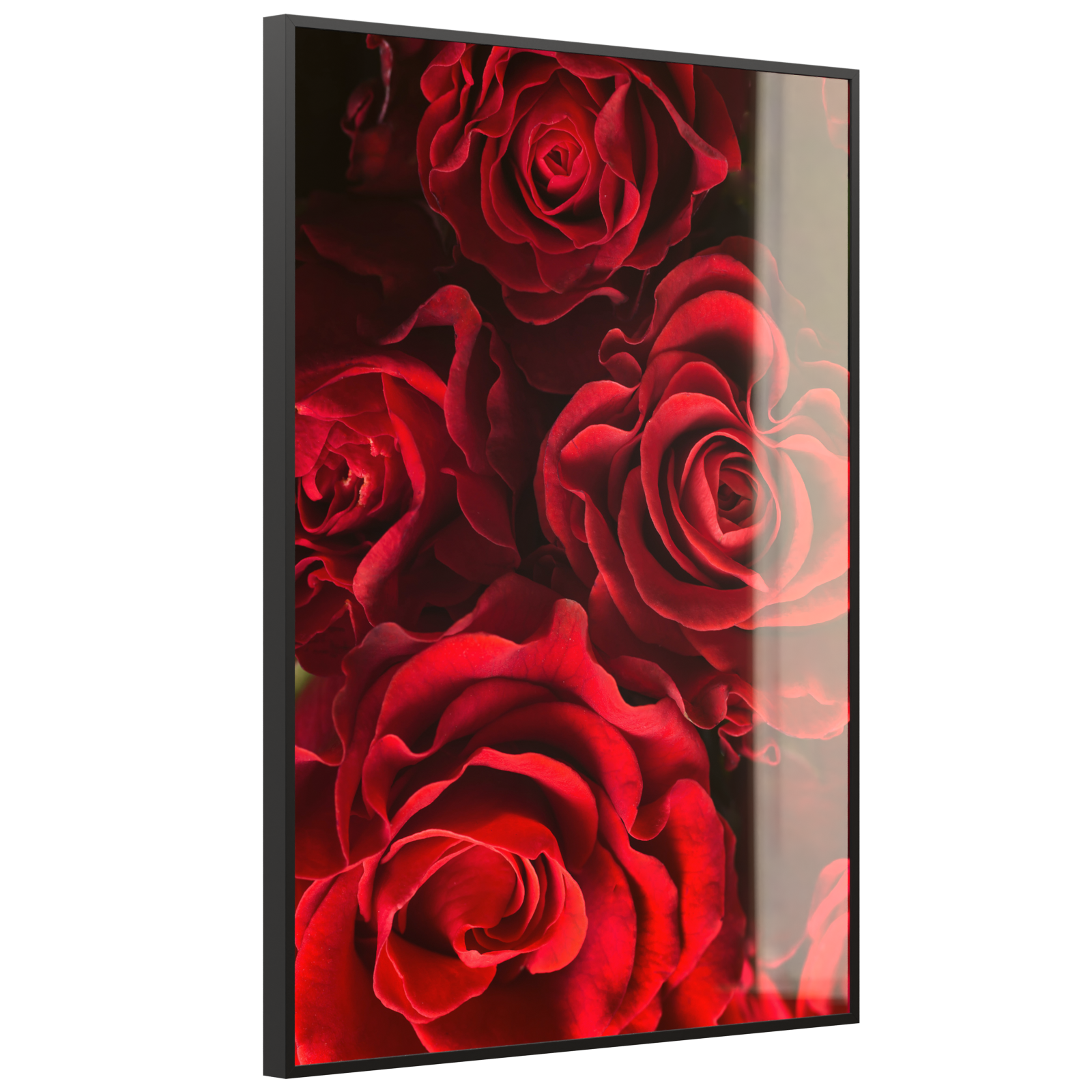 Deko Glas Wandbild Motiv 056H Rote Rosen