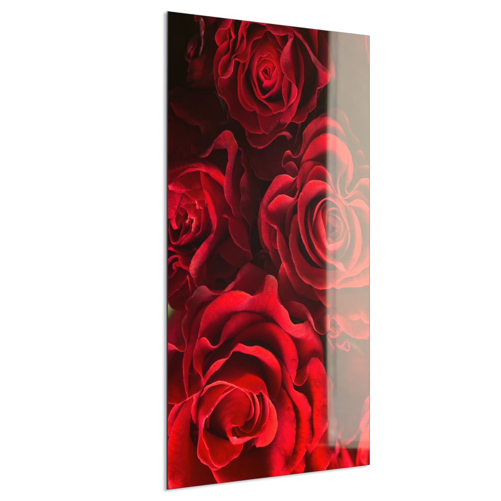 Deko Glas Wandbild Motiv 056H Rote Rosen