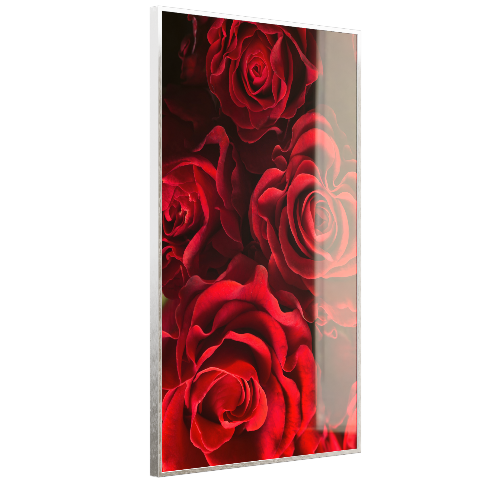 Deko Glas Wandbild Motiv 056H Rote Rosen