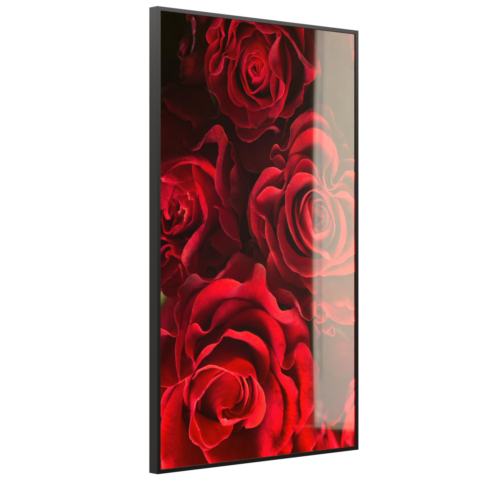 Deko Glas Wandbild Motiv 056H Rote Rosen