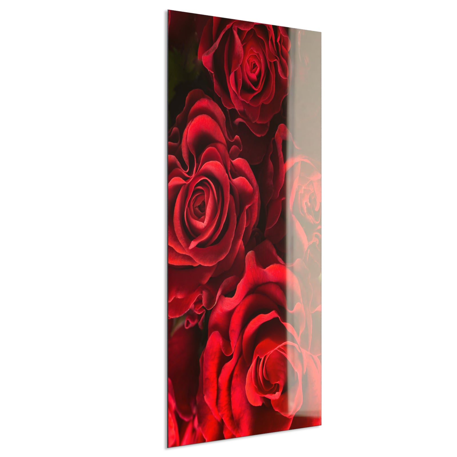 Deko Glas Wandbild Motiv 056H Rote Rosen