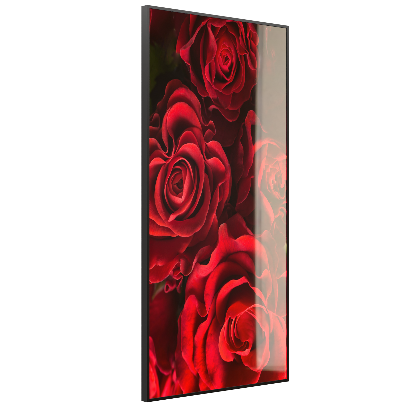 Deko Glas Wandbild Motiv 056H Rote Rosen