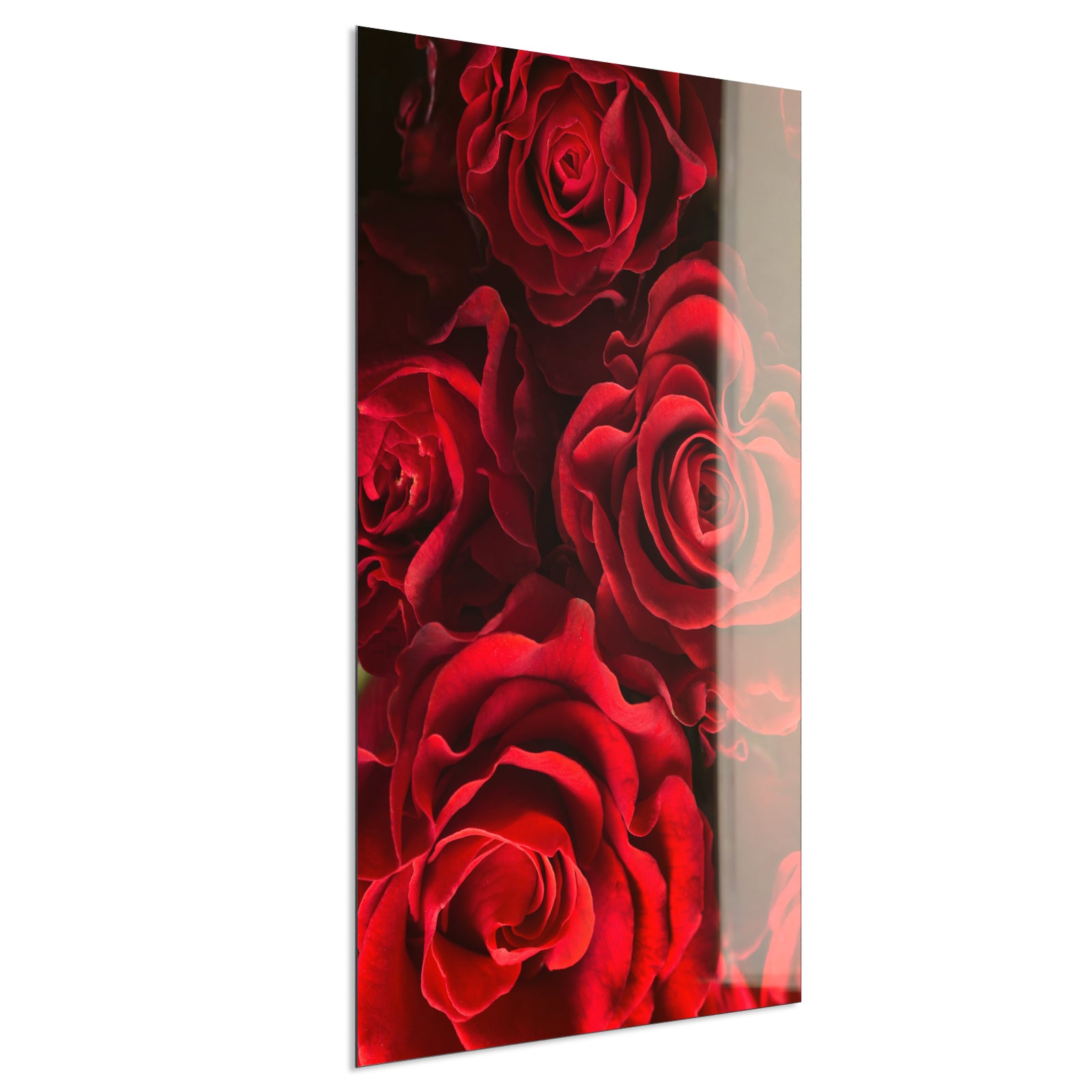 Deko Glas Wandbild Motiv 056H Rote Rosen