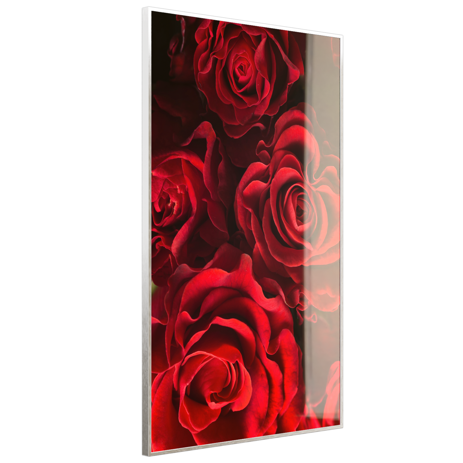 Deko Glas Wandbild Motiv 056H Rote Rosen