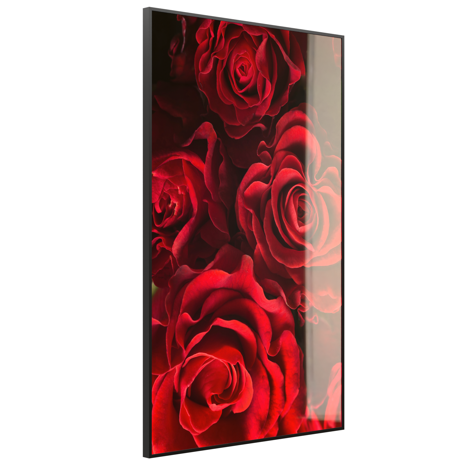 Deko Glas Wandbild Motiv 056H Rote Rosen