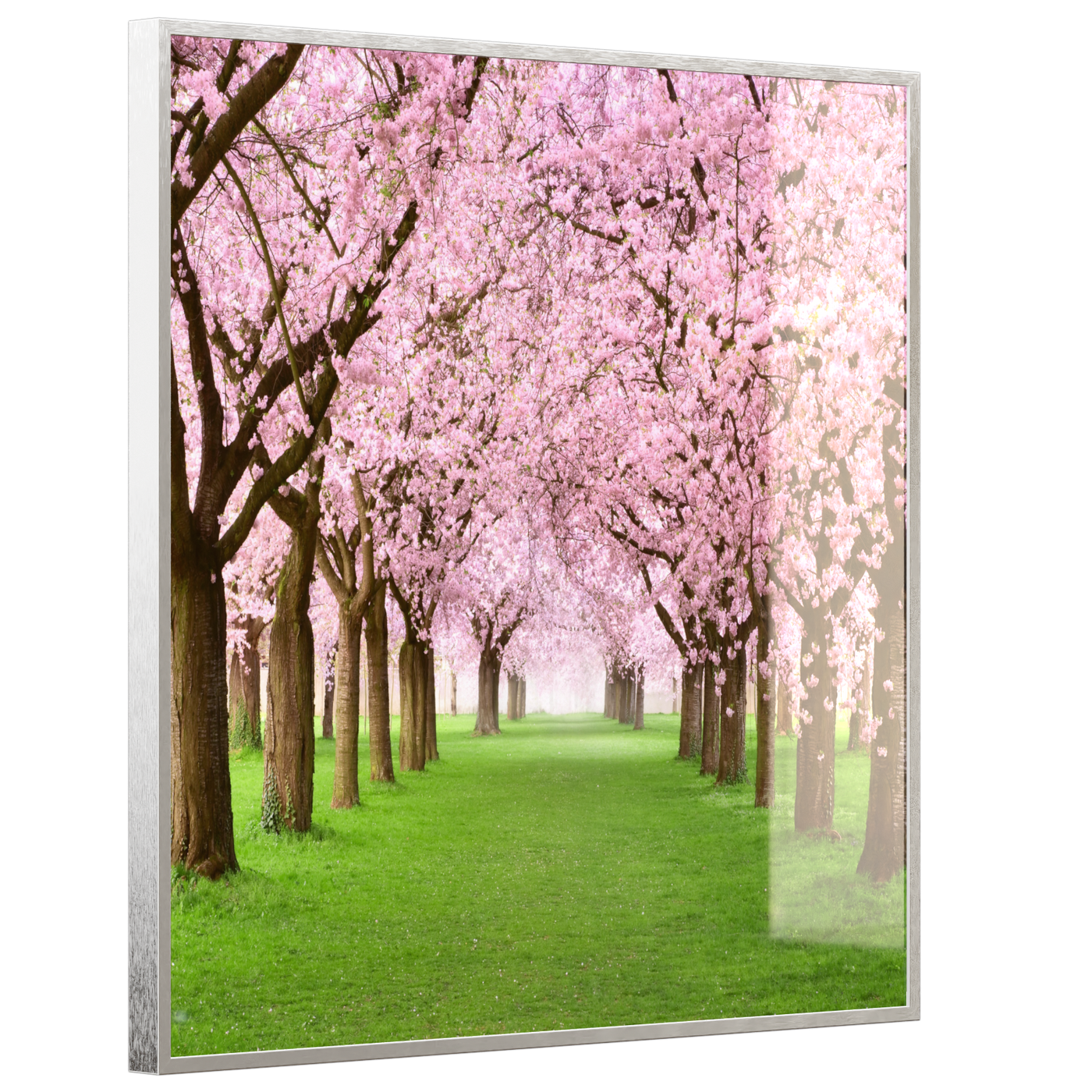STEINFELD Deko Glas Wandbild Motiv 058 Kirschbäume Allee