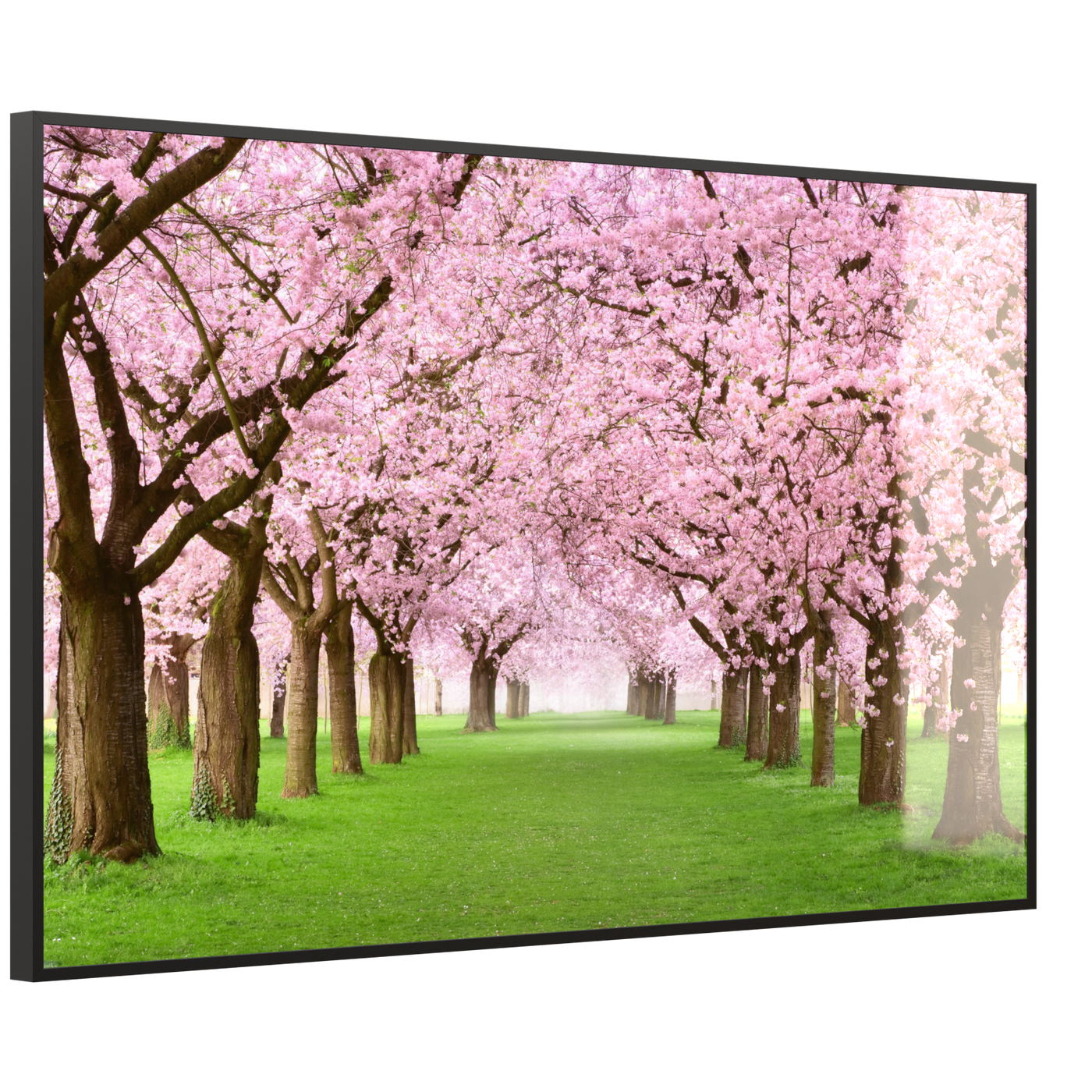 STEINFELD Deko Glas Wandbild Motiv 058 Kirschbäume Allee