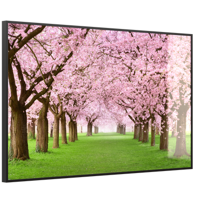STEINFELD Deko Glas Wandbild Motiv 058 Kirschbäume Allee