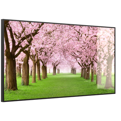 STEINFELD Deko Glas Wandbild Motiv 058 Kirschbäume Allee