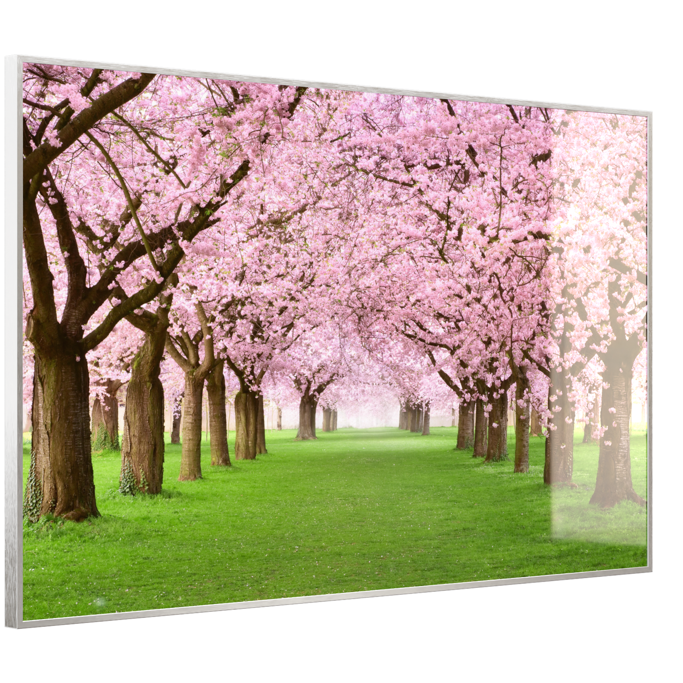 STEINFELD Deko Glas Wandbild Motiv 058 Kirschbäume Allee