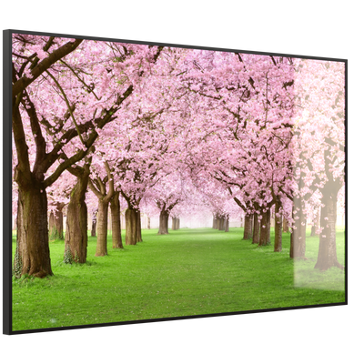 STEINFELD Deko Glas Wandbild Motiv 058 Kirschbäume Allee