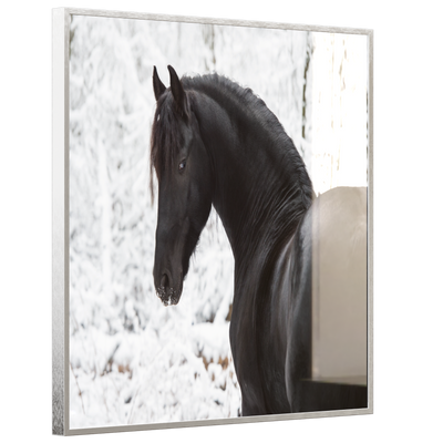 STEINFELD Deko Glas Wandbild Motiv 060 schwarzes Pferd