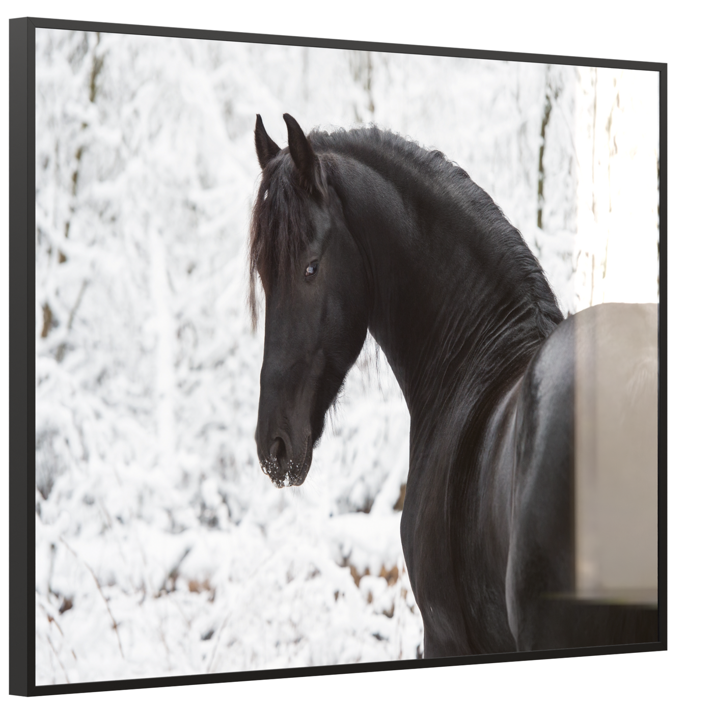 STEINFELD Deko Glas Wandbild Motiv 060 schwarzes Pferd