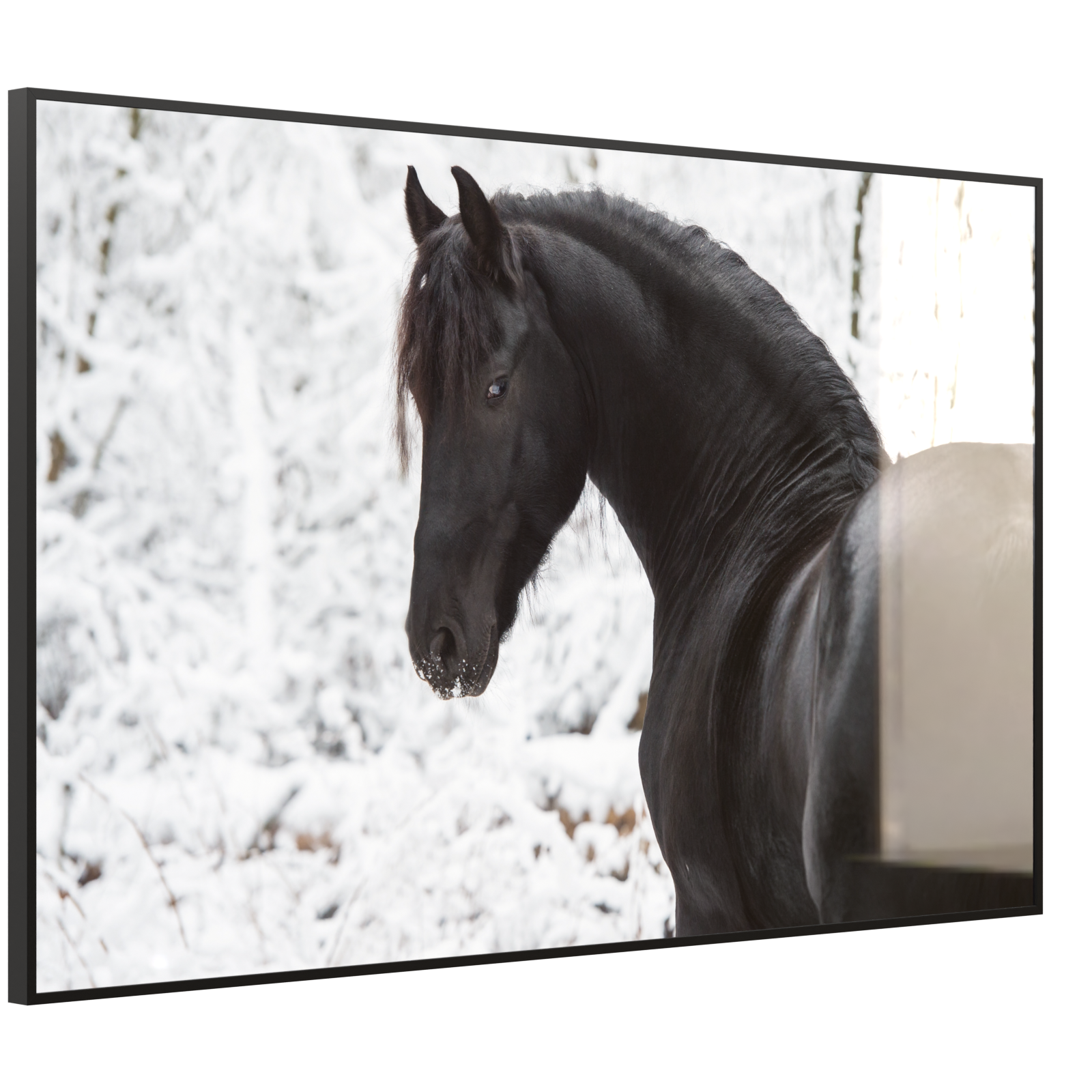 Deko Glas Wandbild Motiv 060 schwarzes Pferd