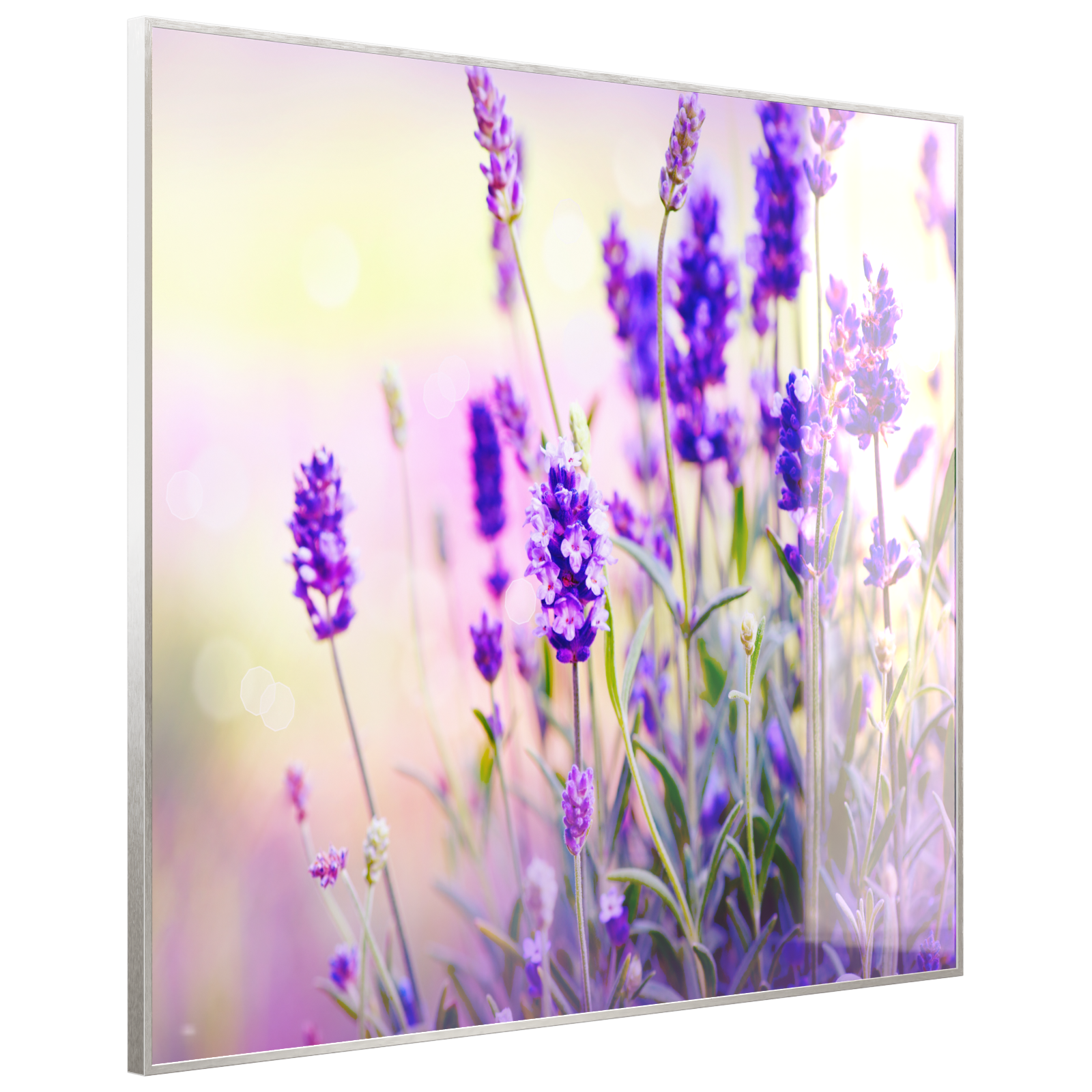 Deko Glas Wandbild Motiv 061 Lavendel