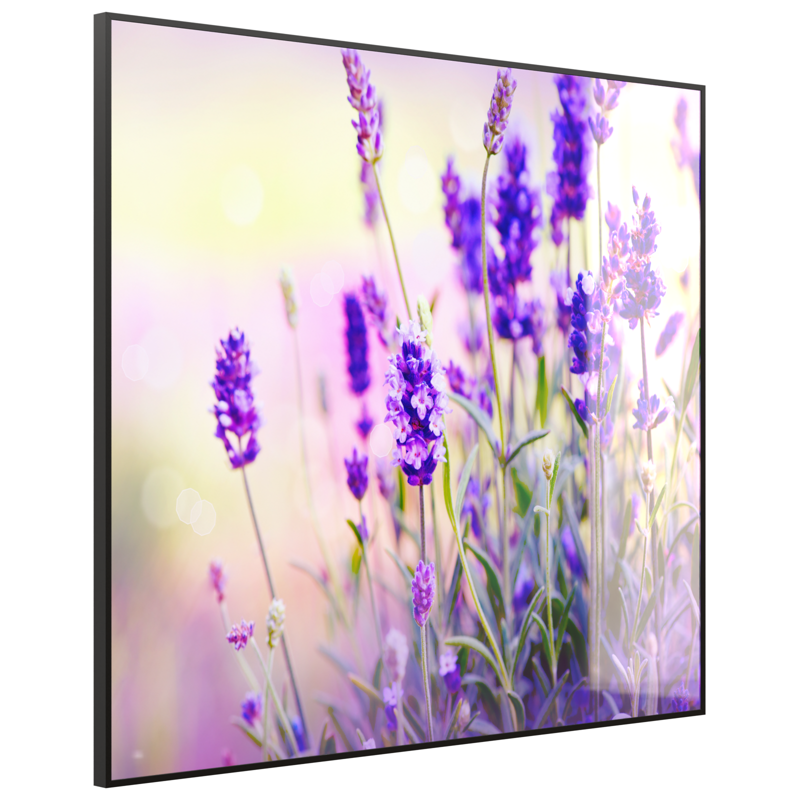 Deko Glas Wandbild Motiv 061 Lavendel