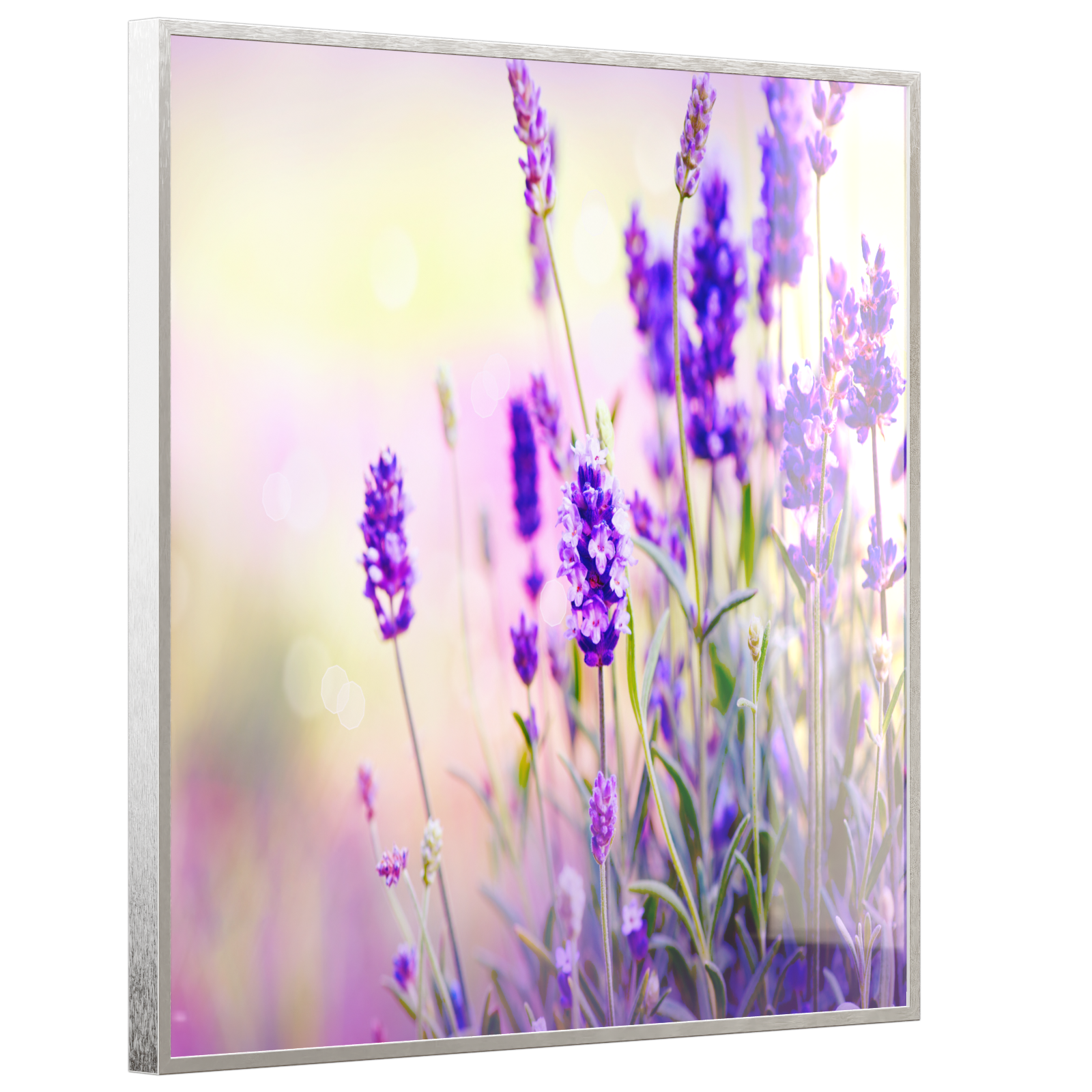 Deko Glas Wandbild Motiv 061 Lavendel