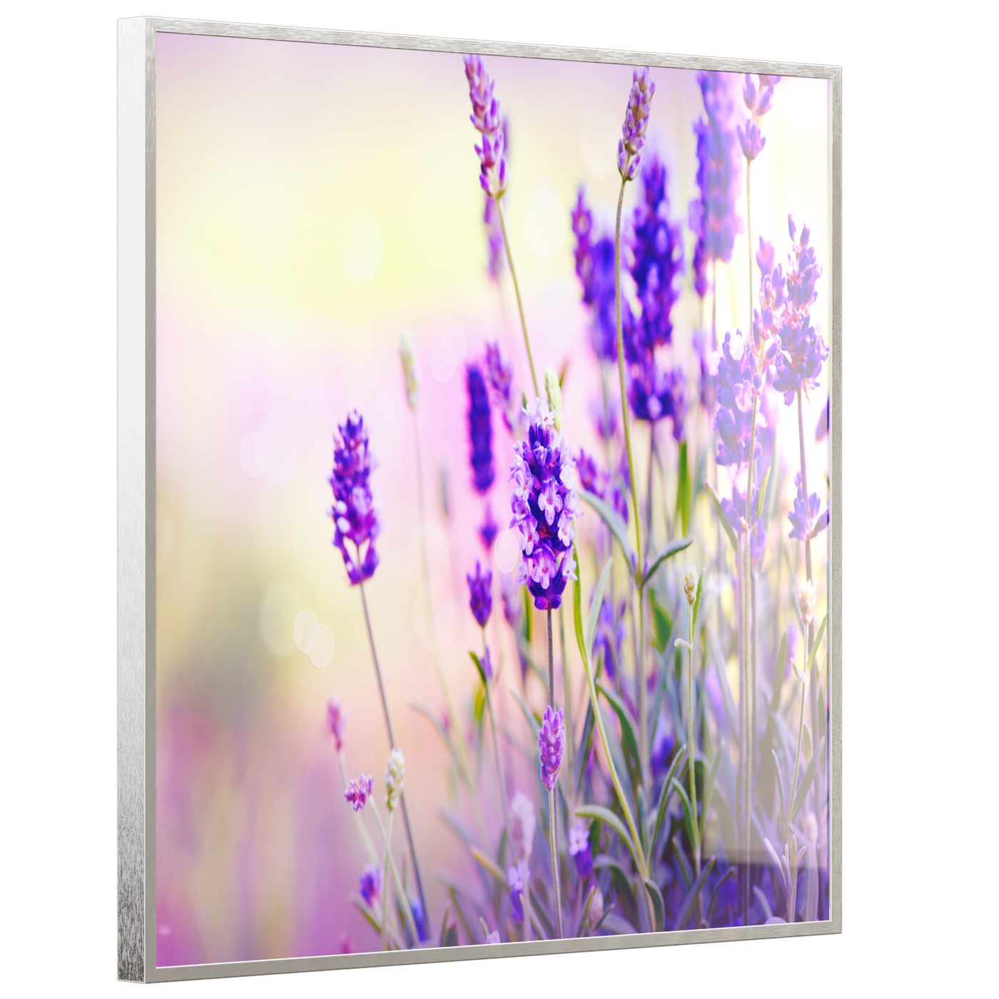 STEINFELD Deko Glas Wandbild Motiv 061 Lavendel