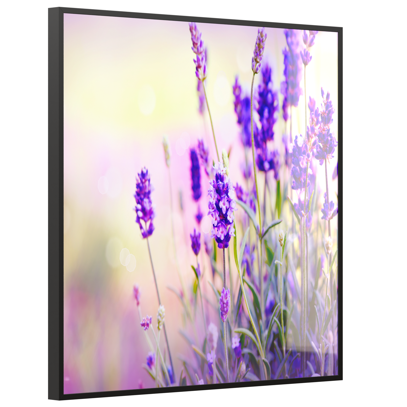 Deko Glas Wandbild Motiv 061 Lavendel