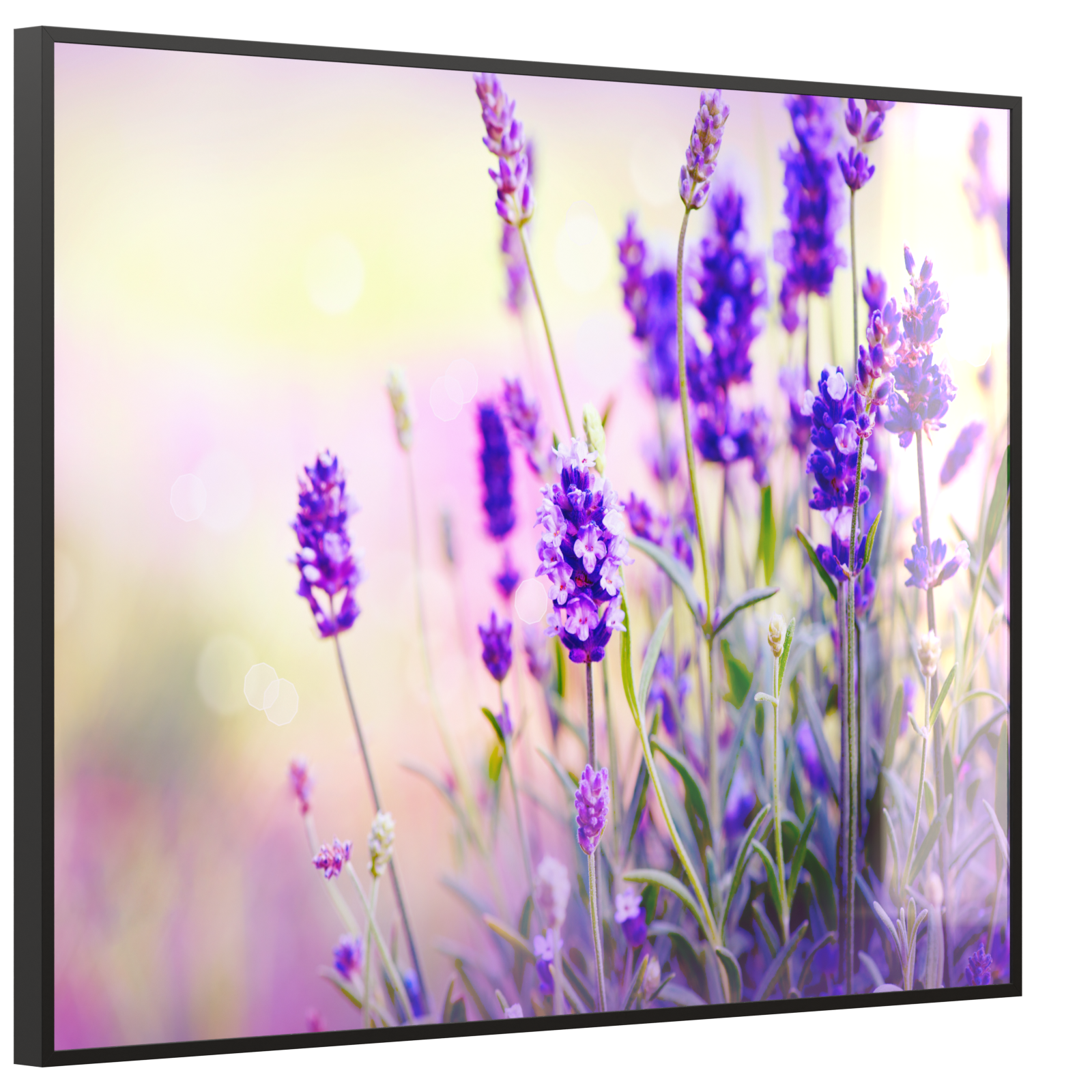 Deko Glas Wandbild Motiv 061 Lavendel