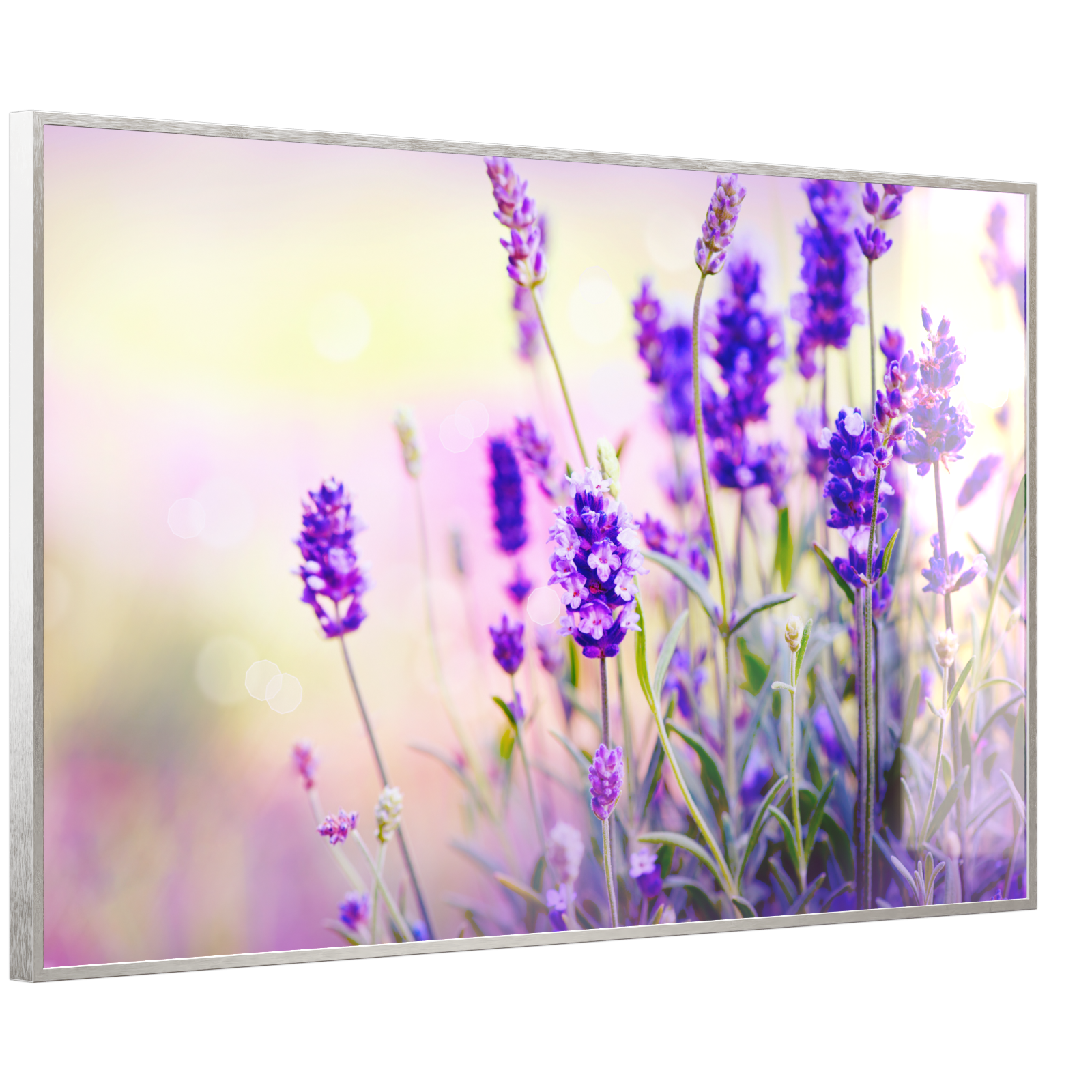 Deko Glas Wandbild Motiv 061 Lavendel