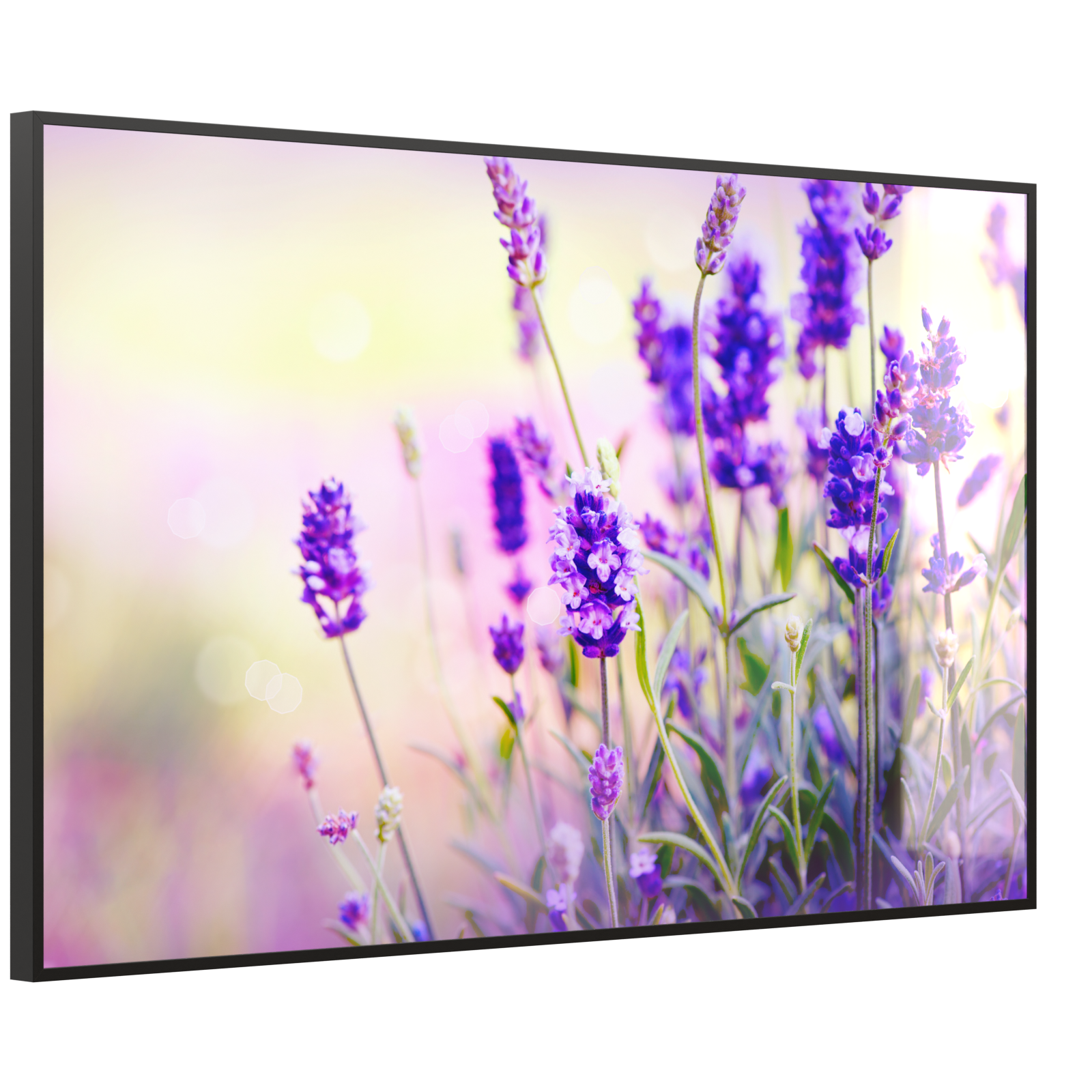 Deko Glas Wandbild Motiv 061 Lavendel