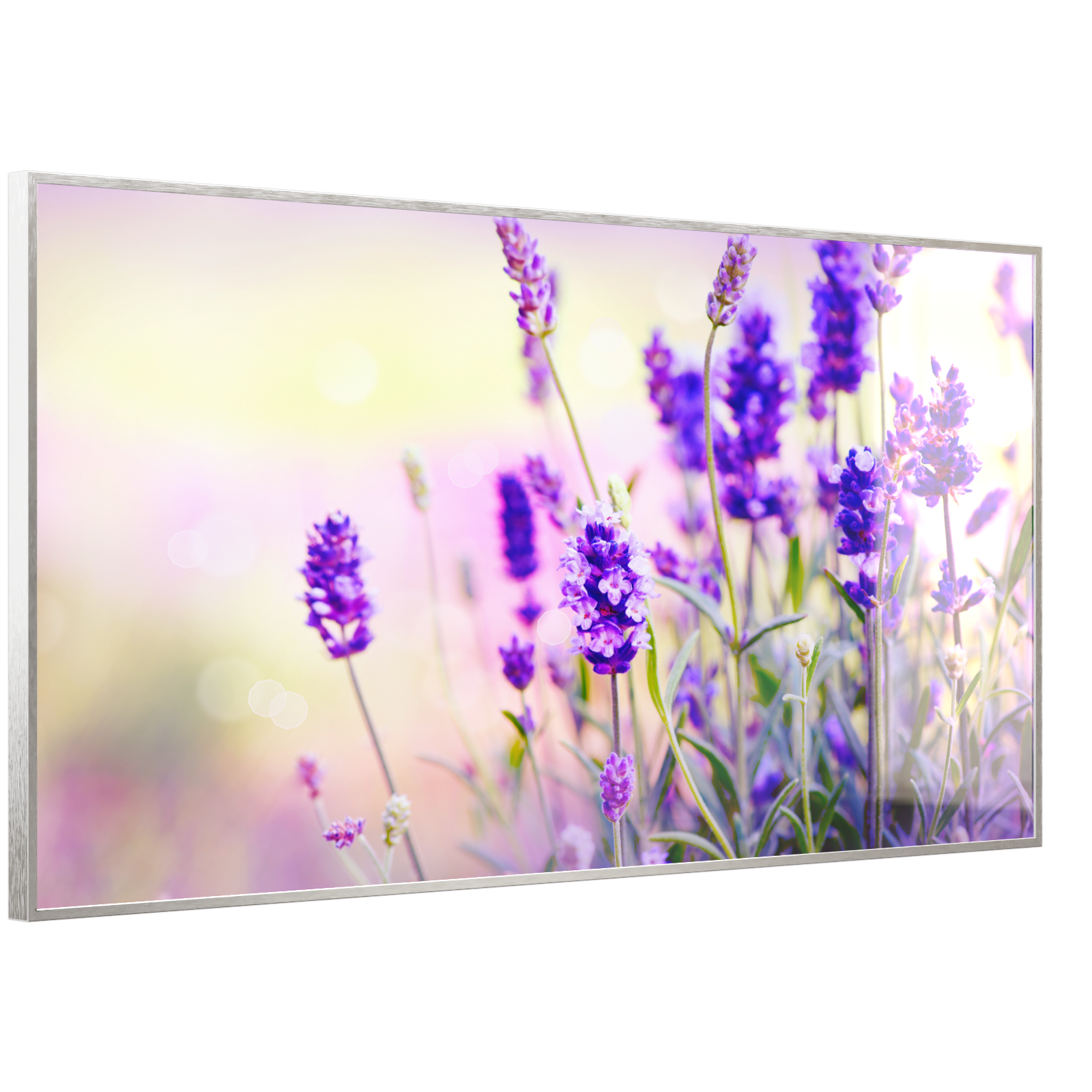 Deko Glas Wandbild Motiv 061 Lavendel