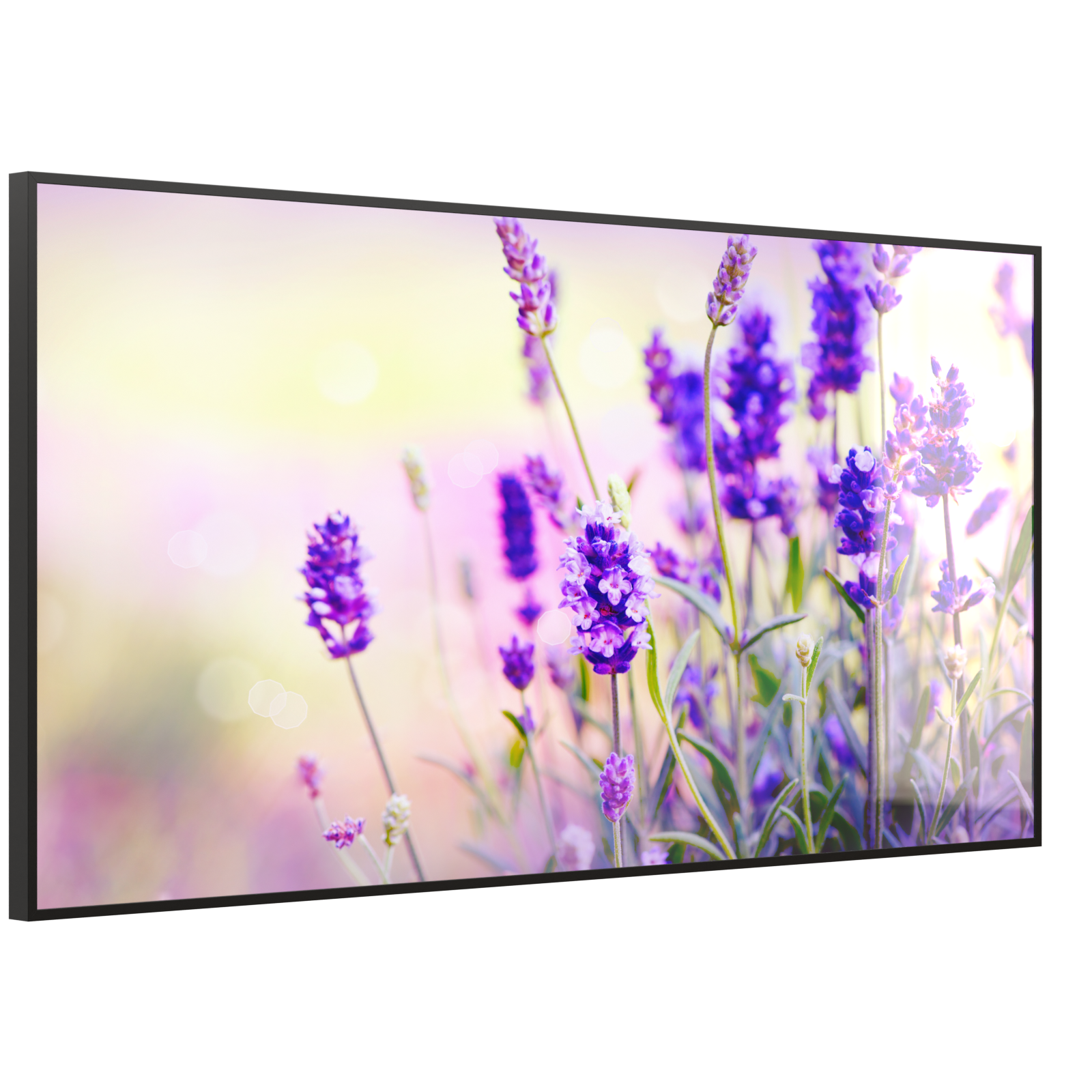 Deko Glas Wandbild Motiv 061 Lavendel