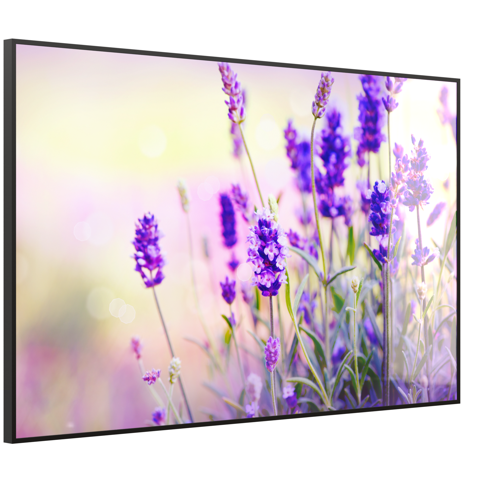 Deko Glas Wandbild Motiv 061 Lavendel