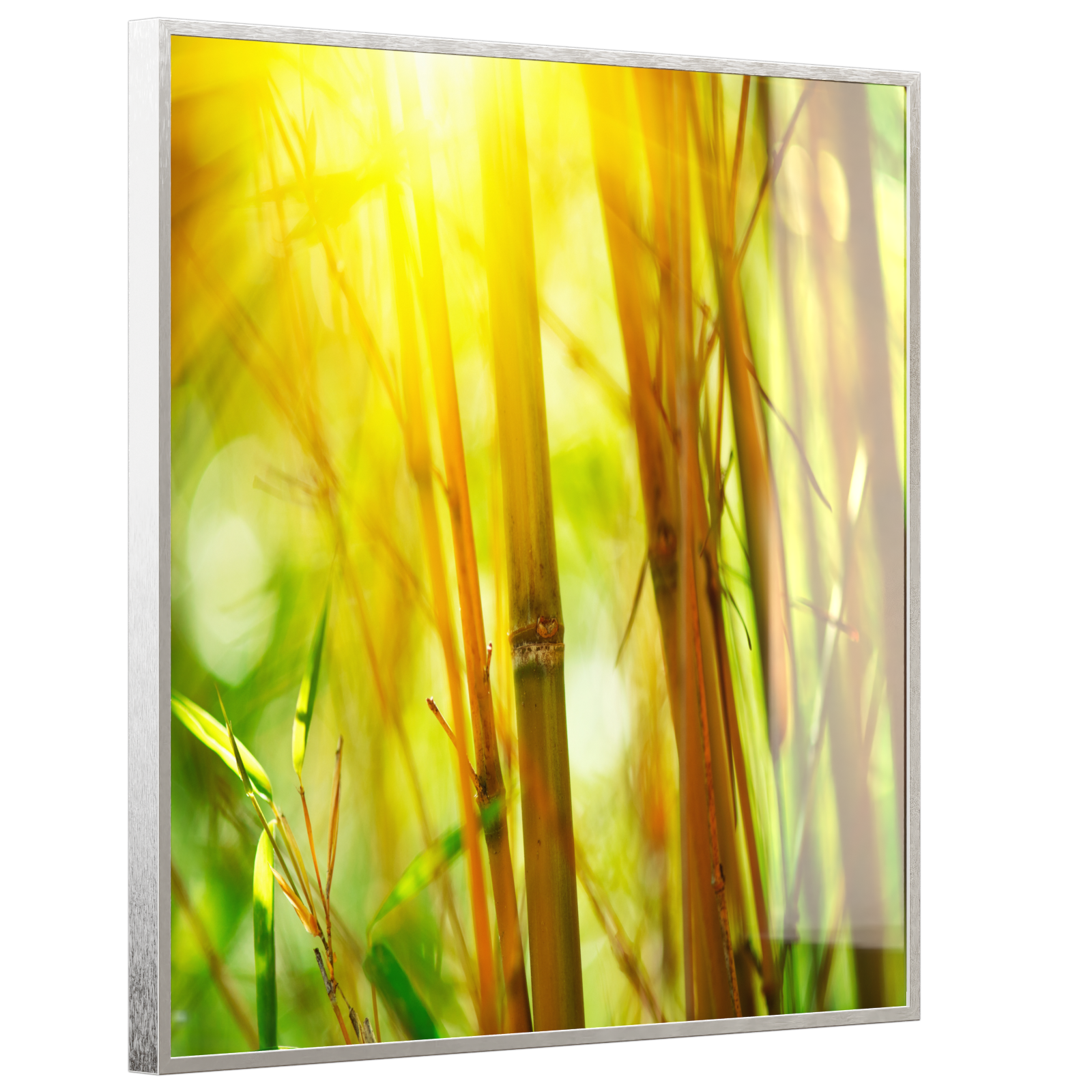 Deko Glas Wandbild Motiv 062 Bambus