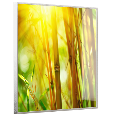 STEINFELD Deko Glas Wandbild Motiv 062 Bambus