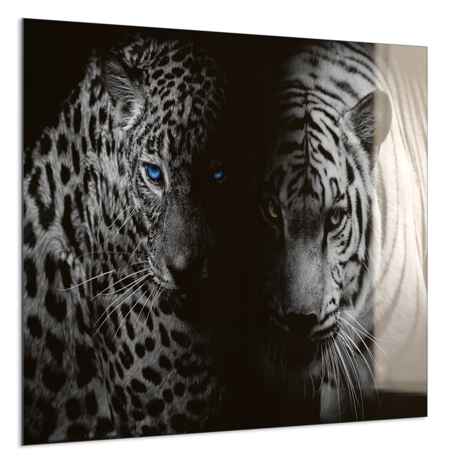 Deko Glas Wandbild Motiv 006 Leopard und Tiger