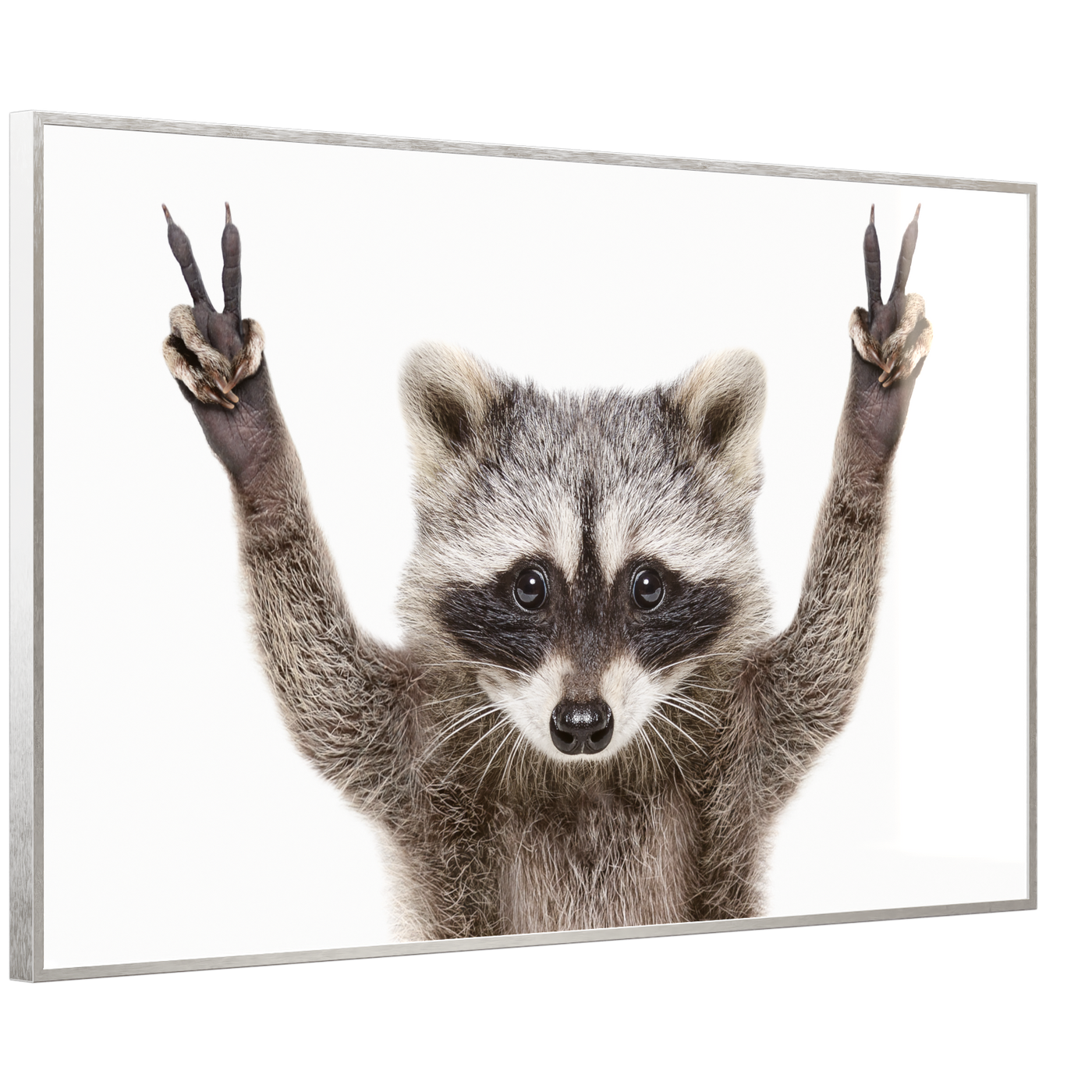STEINFELD Deko Glas Wandbild Motiv 066 Waschbär