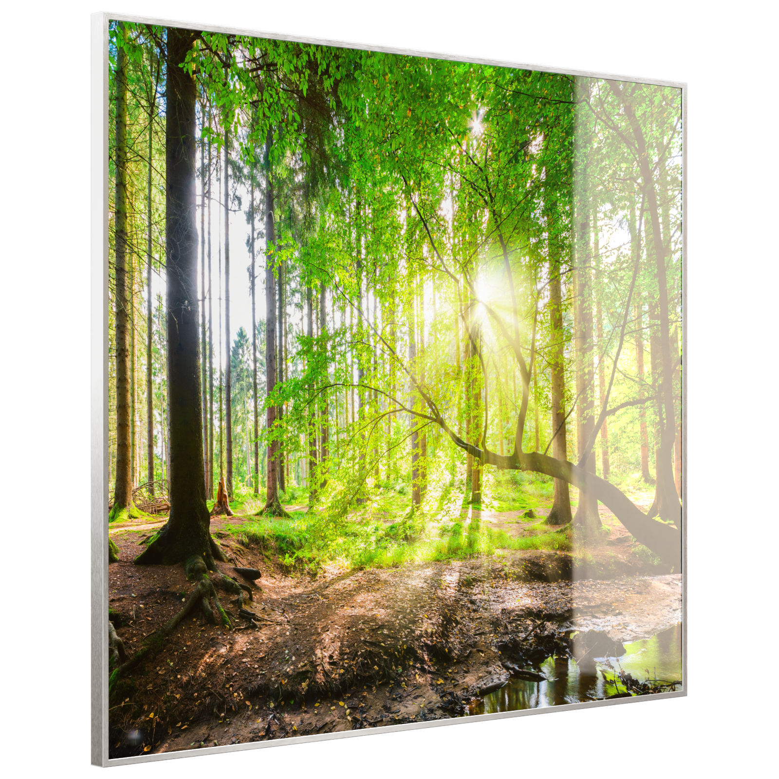 Deko Glas Wandbild Motiv 067 Wald Panorama